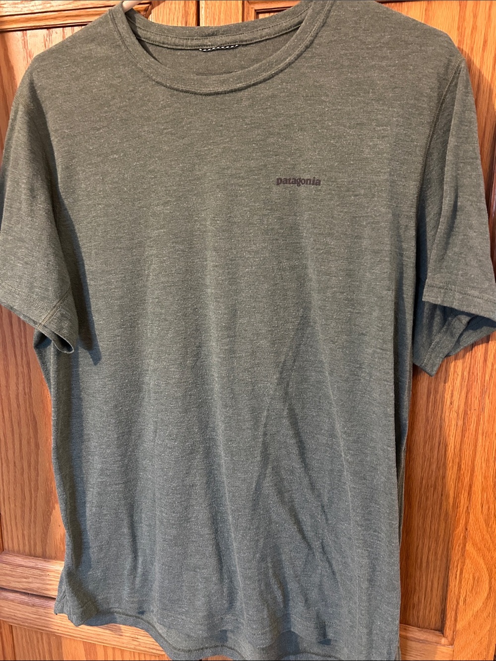 Patagonia Men's Olive Green Heather Short Sleeve Crew Tee